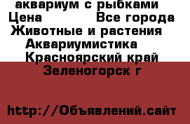 аквариум с рыбками › Цена ­ 1 000 - Все города Животные и растения » Аквариумистика   . Красноярский край,Зеленогорск г.